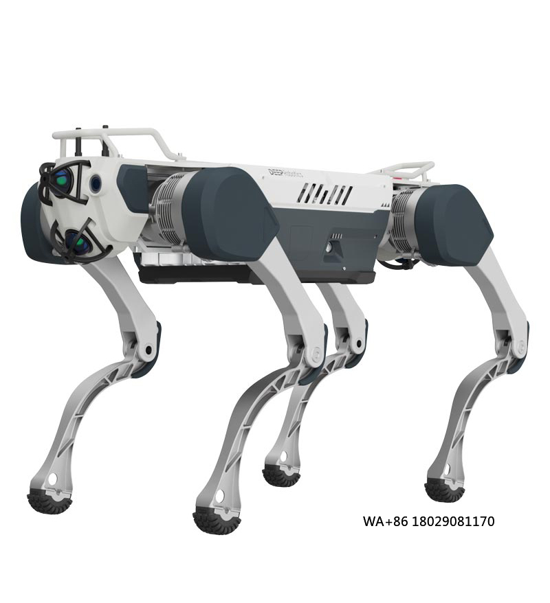 Robot Remote Control - Achieving Artificial Intelligence for Educational &