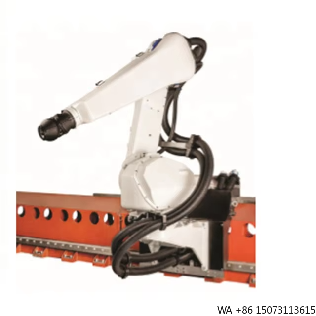 6-Axis Spray Painting Robotic  - Robot Gripper ulasan dan harga