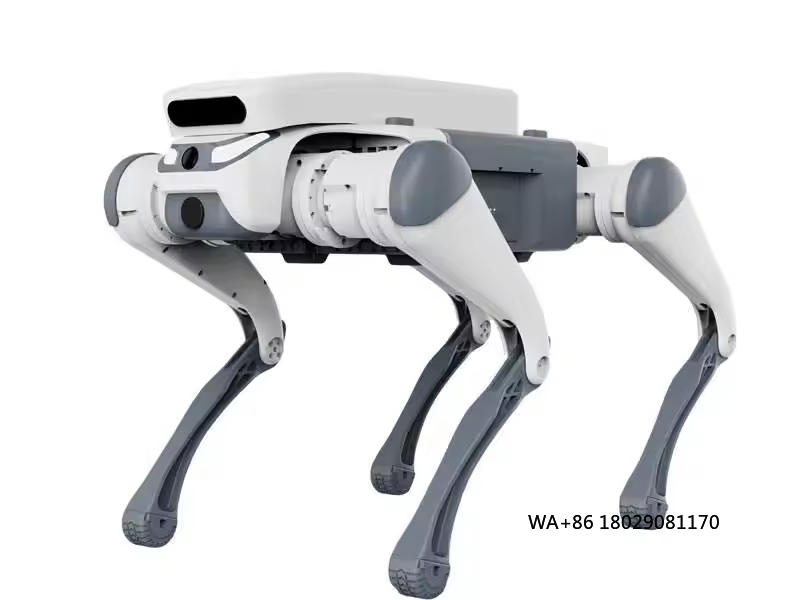 stunt remote control education - Robot Remote Control ulasan dan harga