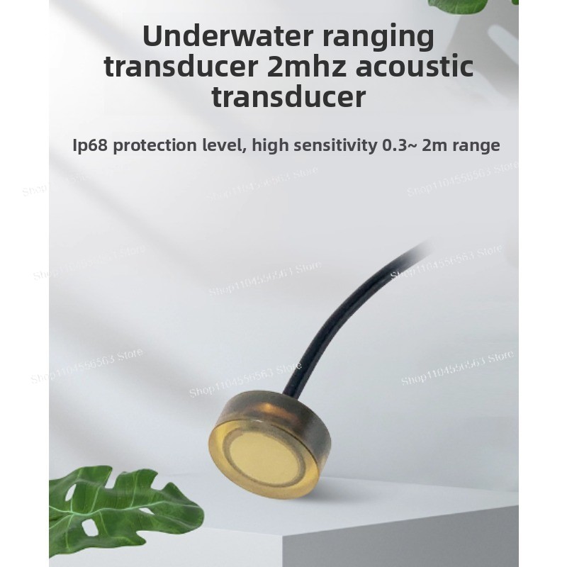 DYW-LS-03A 2MHz Underwater Ult - Ultrasonic Distance Sensor ulasan dan harga