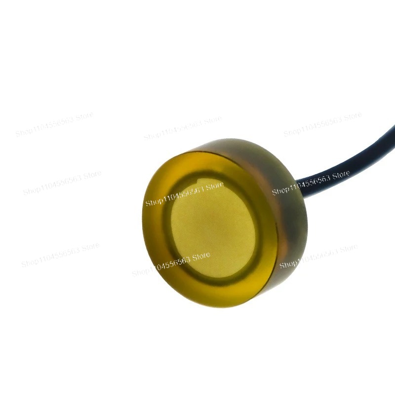 DYW-LS-03A 2MHz Underwater Ult - Ultrasonic Distance Sensor ulasan dan harga